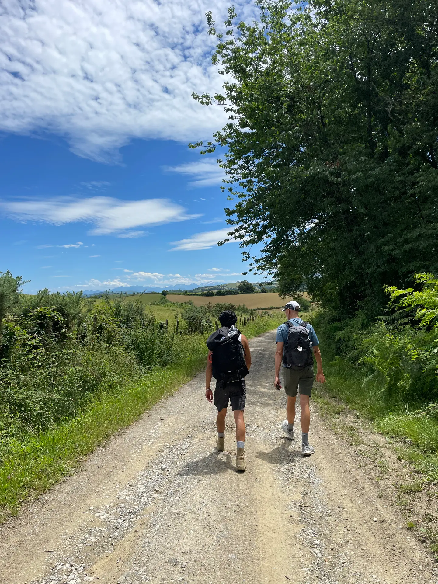 Two hikers walking a sunlit Camino de Santiago path through a green valley